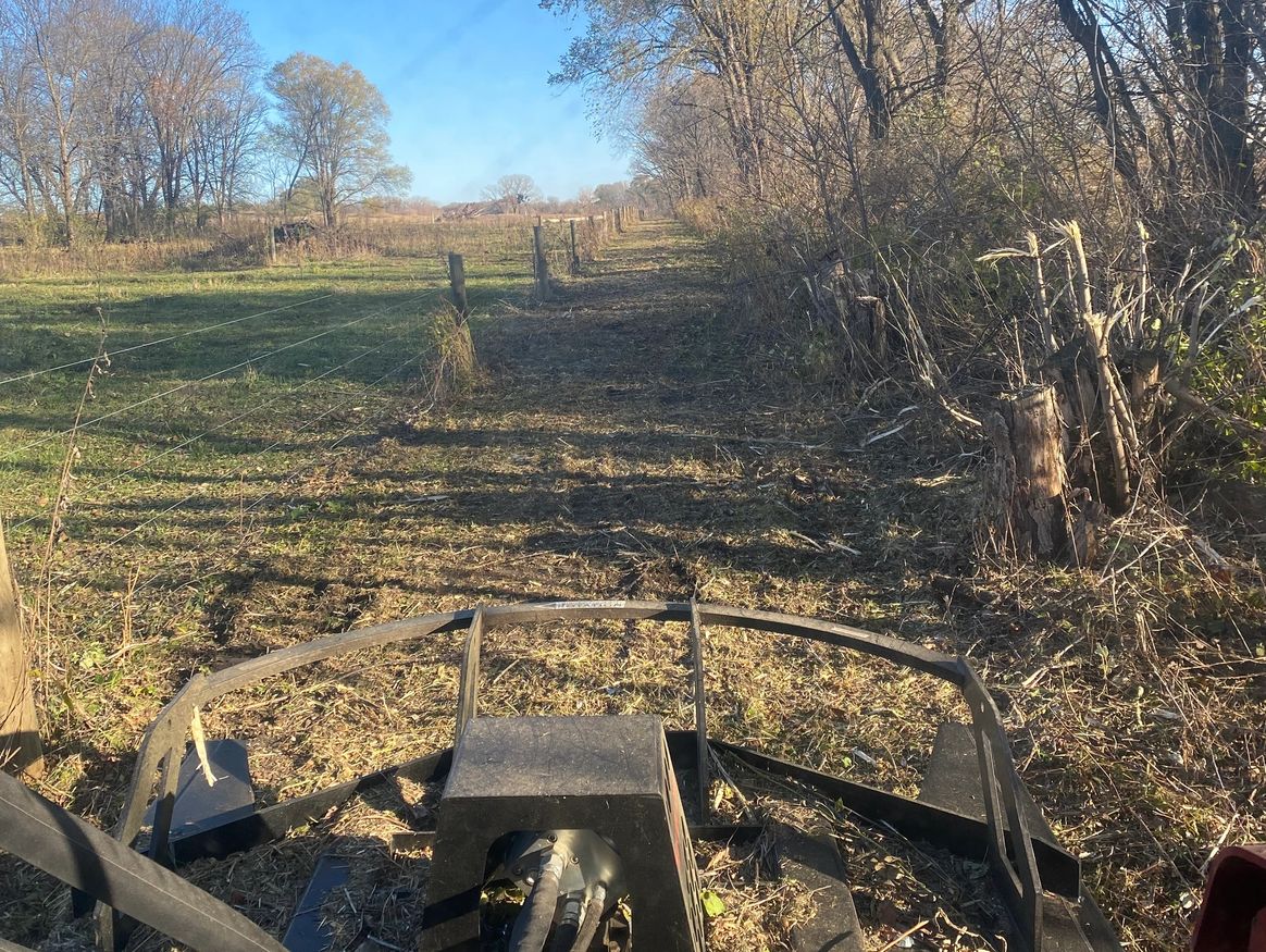 Fence line clearing