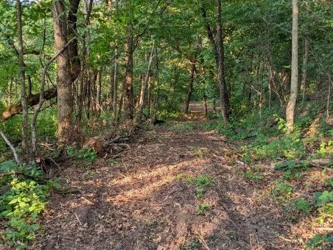 Walking paths and shooting lanes